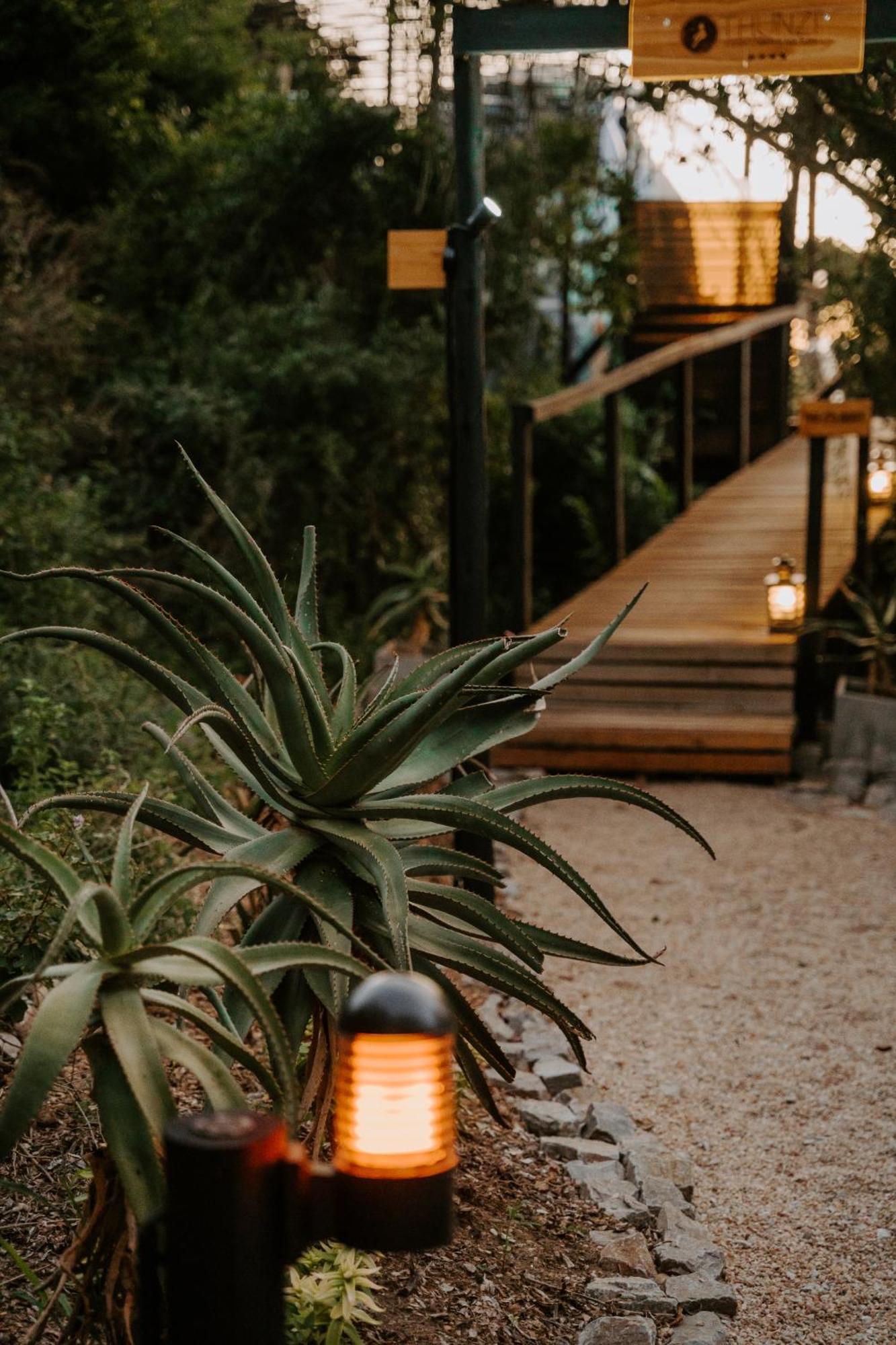 Thunzi Bush Lodge Beachview Exteriör bild