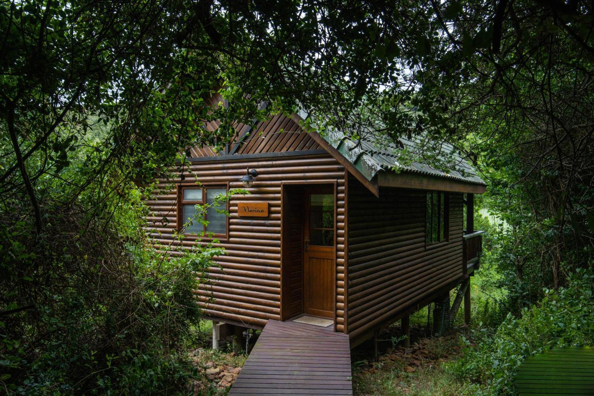 Thunzi Bush Lodge Beachview Exteriör bild